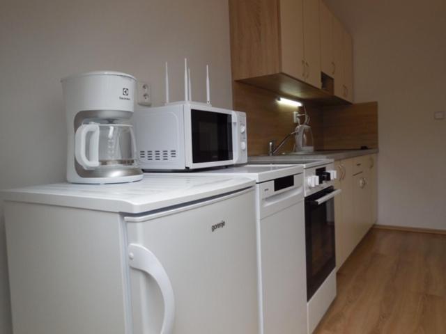 Kamenice Appartement *